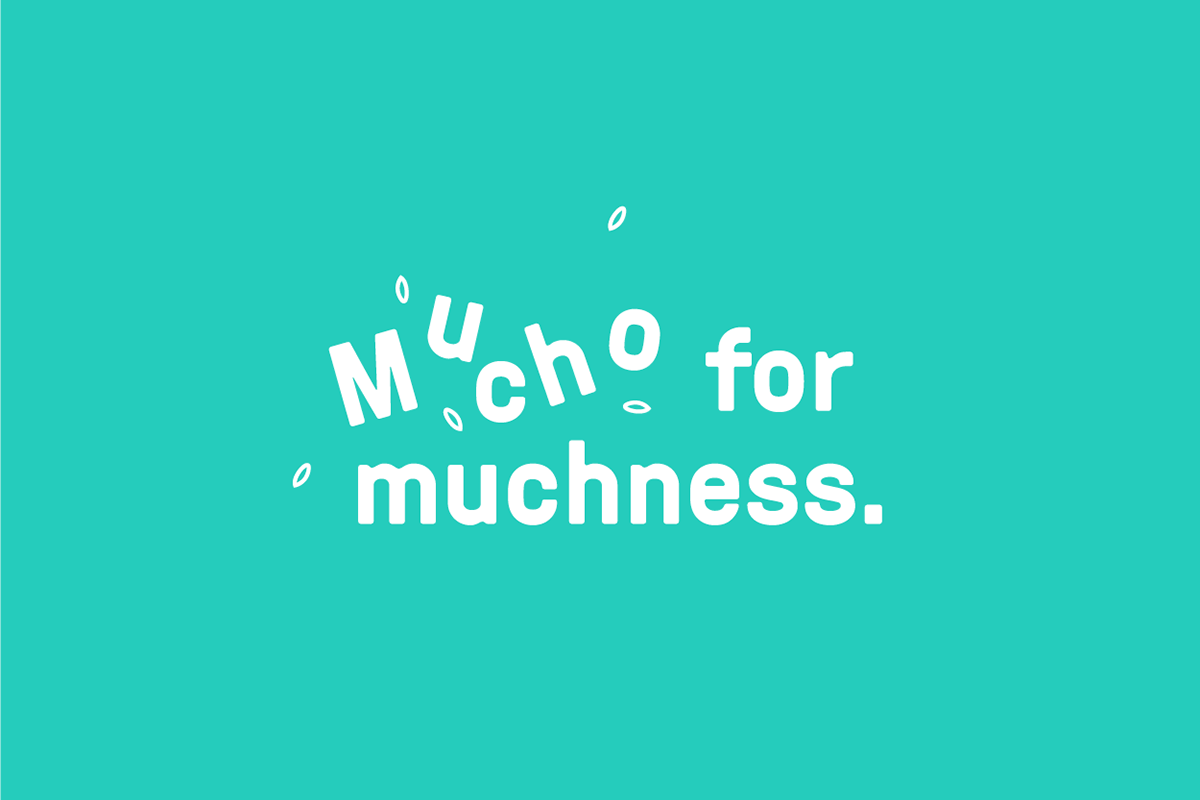 Mucho購物網站品牌設計形象