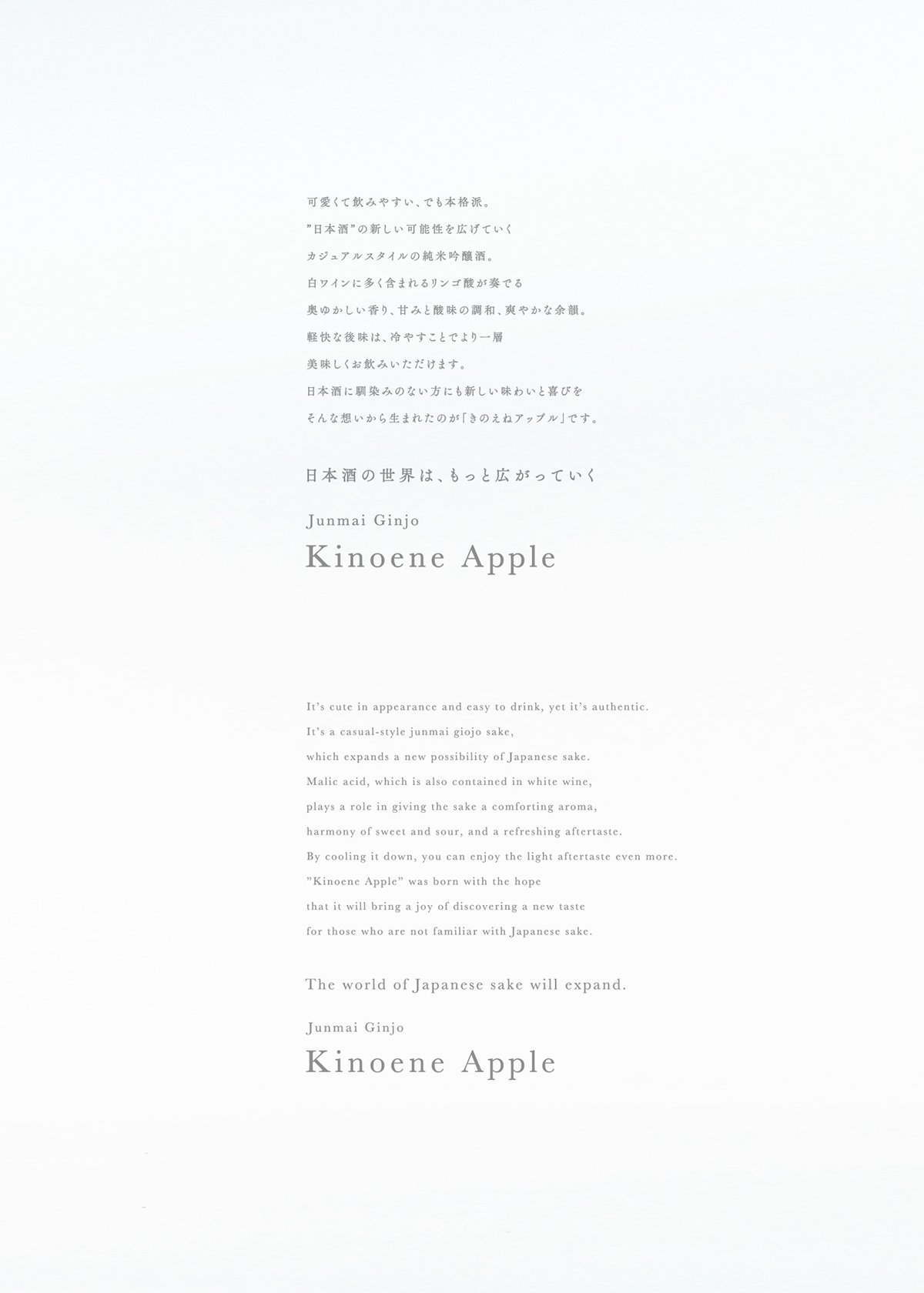 日本志蘋果飲品品牌形象設計  導語展示