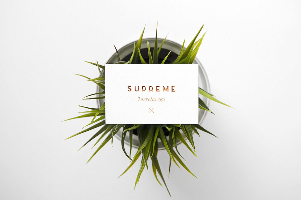 深圳品牌設計  深圳品牌策劃  Supreme服裝品牌形象設計  名片設計