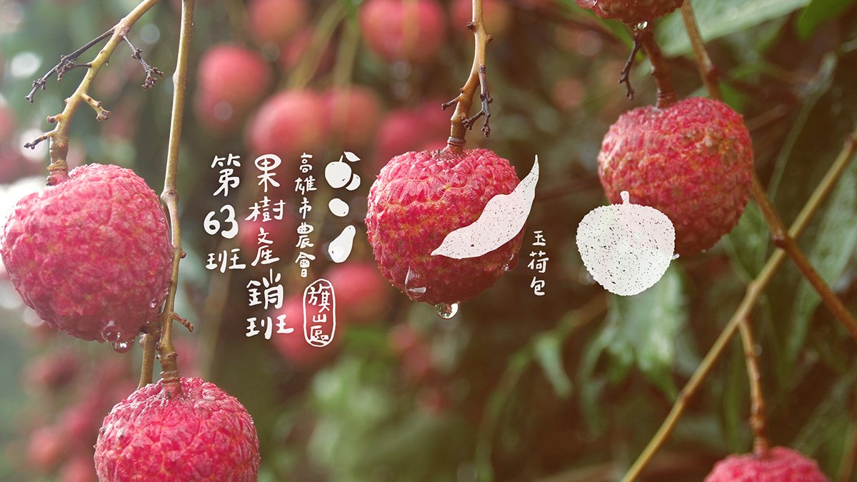 深圳品牌設計  深圳品牌策劃  高雄市農會果樹產銷班第63班品牌形象設計  標志設計
