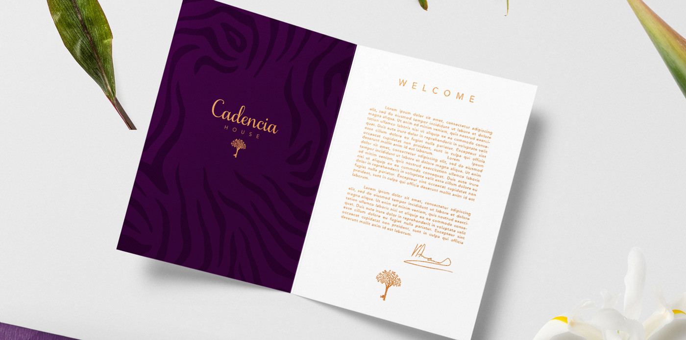 Cadencia時尚服裝品牌設計案例和品牌營銷，服裝品牌形象設計，品牌營銷，深圳品牌設計，左右格局